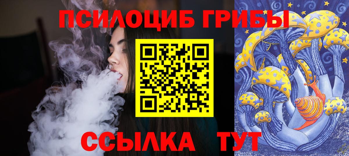 Псилоцибиновые грибы GOLDEN TEACHER  Псилоцибиновые грибы Cubensis  Тверь  Вход с VPN 